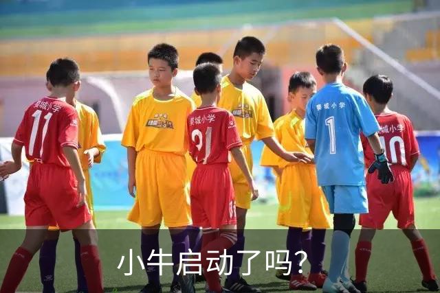 小牛启动了吗？